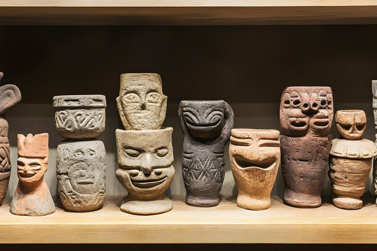 Visite privée du Museo Chileno de Arte Precolombino Santiago