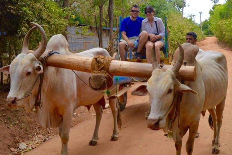 From Sigiriya to Polonnaruwa Transfer with Sightseeing Stops