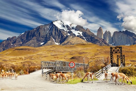 Puerto Natales: Privater Ganztag Torres + Milodon Höhle