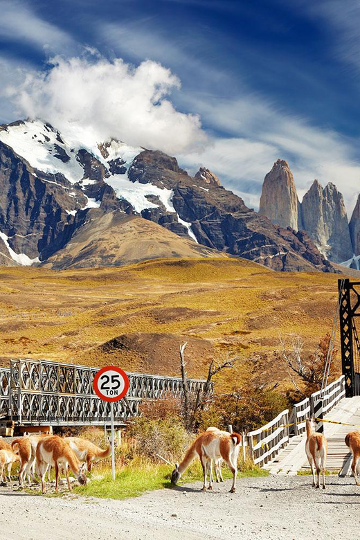 Galería de fotos para redes