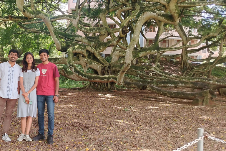 Kandy: Guided City Tour with Boat Ride & Tuk-Tuk Ride