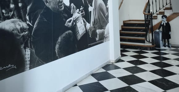 Sightseeing Tour of Málaga with Admission Ticket to the Picasso Birthplace Museum