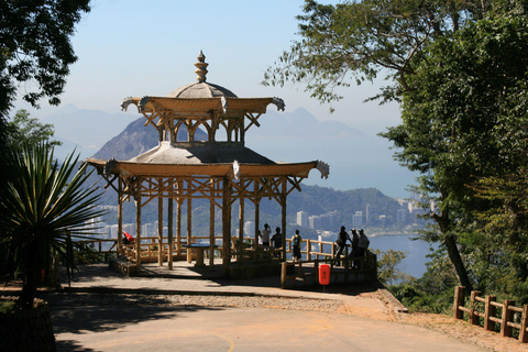 Rio de Janeiro: Tour particular Floresta da Tijuca e Santa Teresa