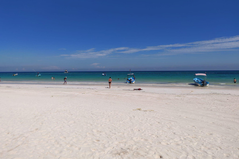 Playa del Carmen Tulum, Playa Paraiso, and 5th Avenue Tour