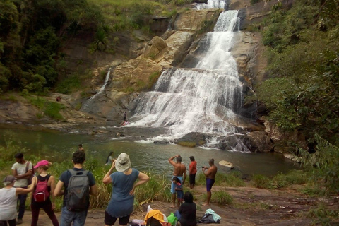 Esplora le cascate iconiche di Ella con un&#039;avventura panoramica in tuk-tuk