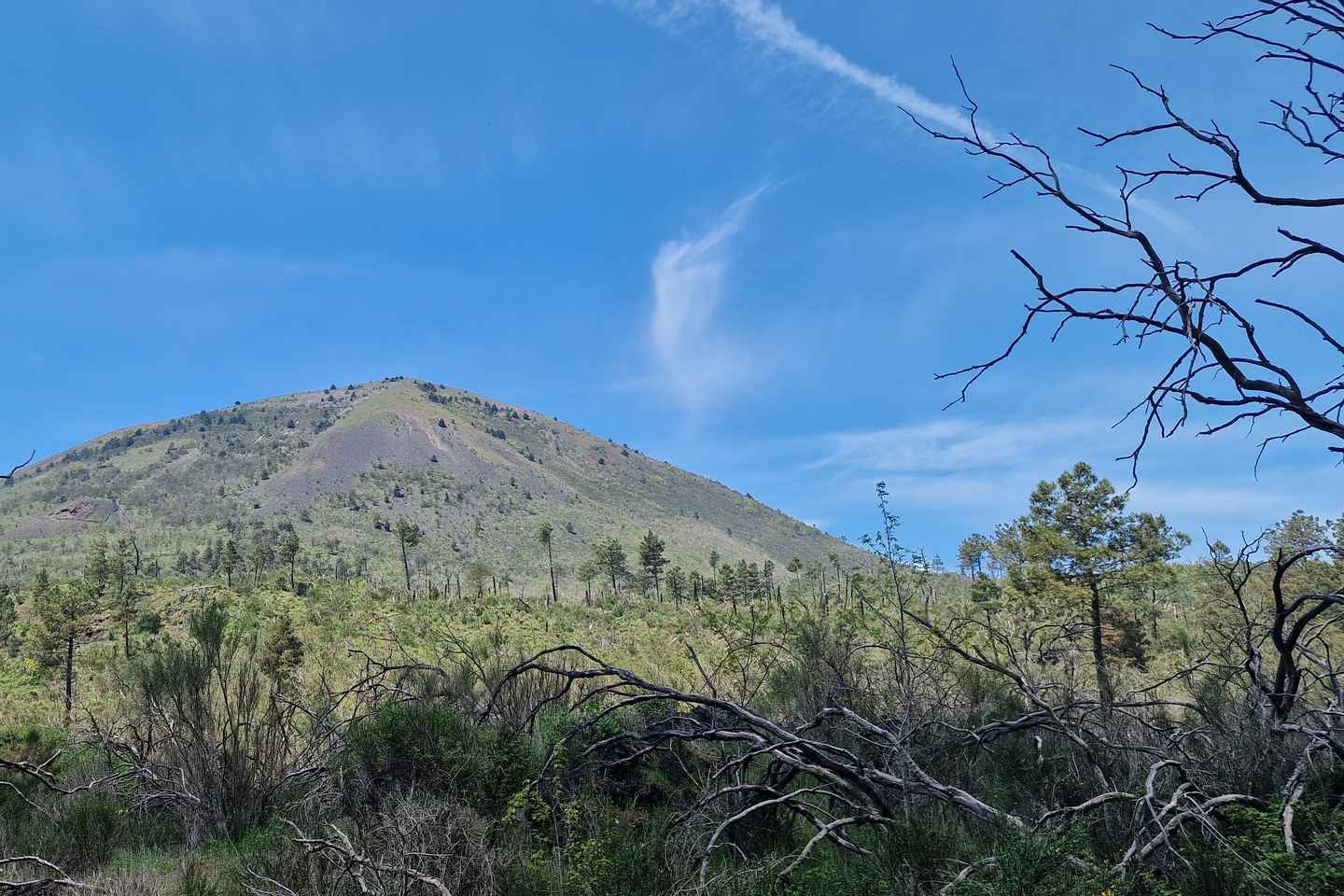 Fai un'escursione nella Valle dell'Inferno nel Parco Nazionale del Vesuvio