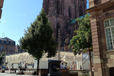 Discover the Wines of Alsace and short introduction to Strasbourg Discover German shepherd wines and a short introduction to Strasbourg