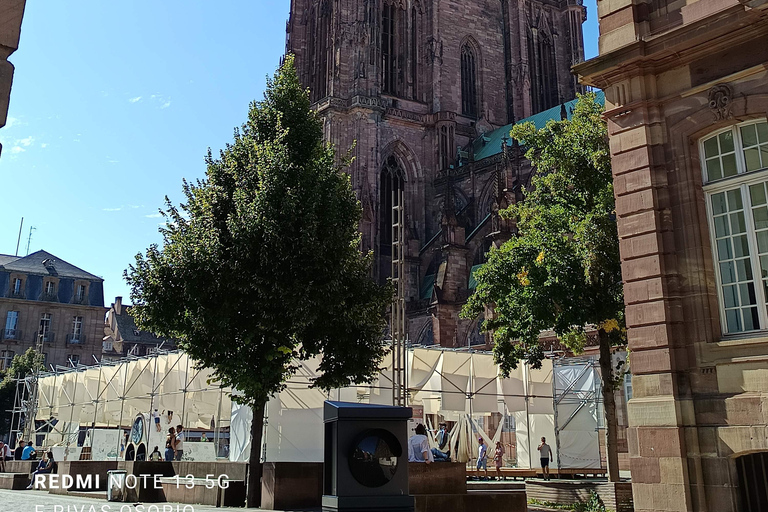 Discover the Wines of Alsace and short introduction to Strasbourg Discover German shepherd wines and a short introduction to Strasbourg