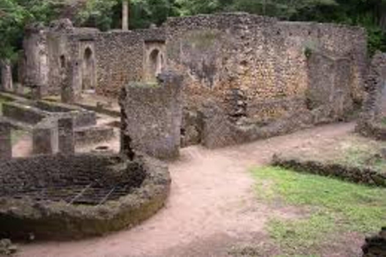 Mombasa: Gede Ruins and Arabuko Sokoke Forest Tour