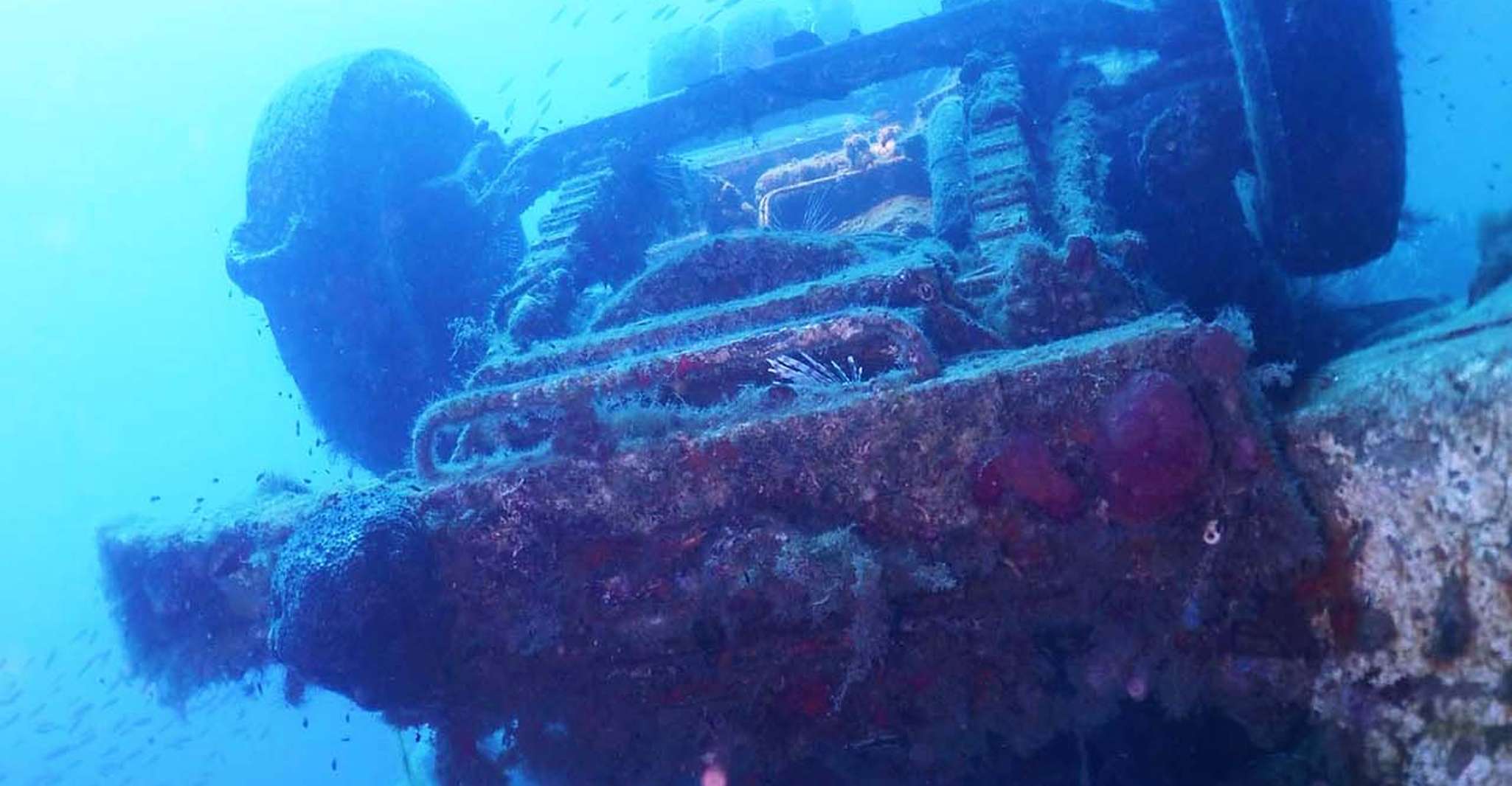 Larnaca, Zenobia Wreck Private Guided Dive - Hizvo