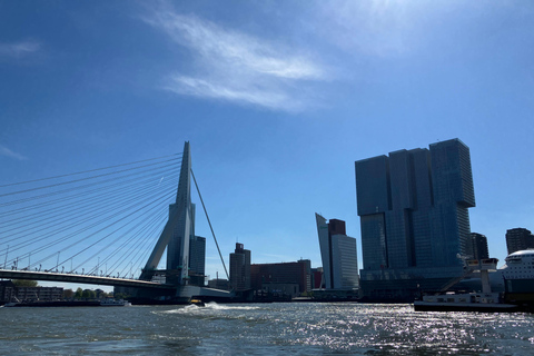 Amsterdam: Kinderdijk and Rotterdam Guided Tour in Japanese