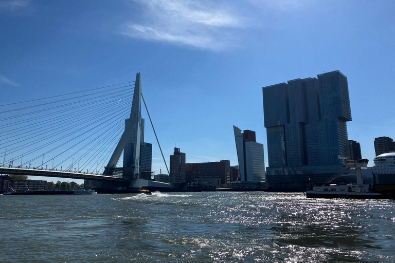Amsterdam: Kinderdijk and Rotterdam Guided Tour in Japanese