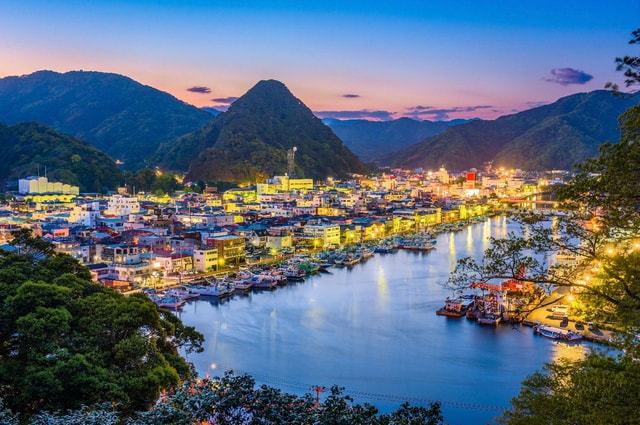 Tokyo: 2-Day Izu Coast & Cherry Blossom Trip in small group