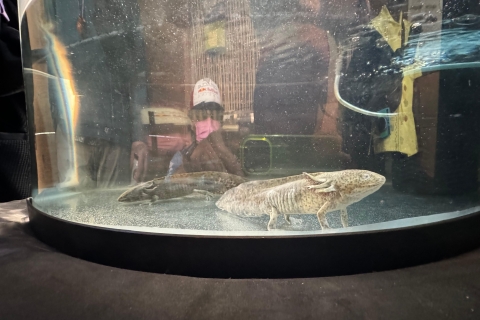 Xochimilco: Boat Tour with Axolotl Sanctuary