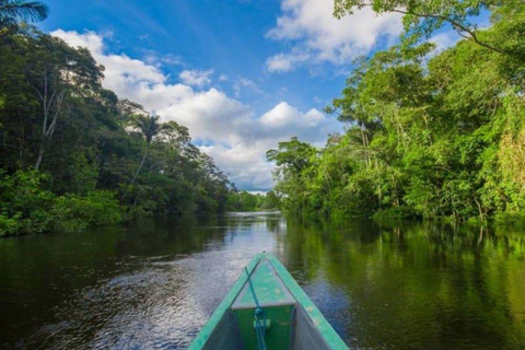 Iquitos: 5-Day Amazon Camp, Zipline & Jungle Tour