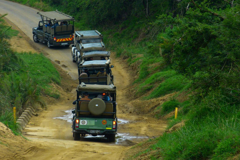 St Lucia, KZN : 3-Day Wildlife and Cultural Safari