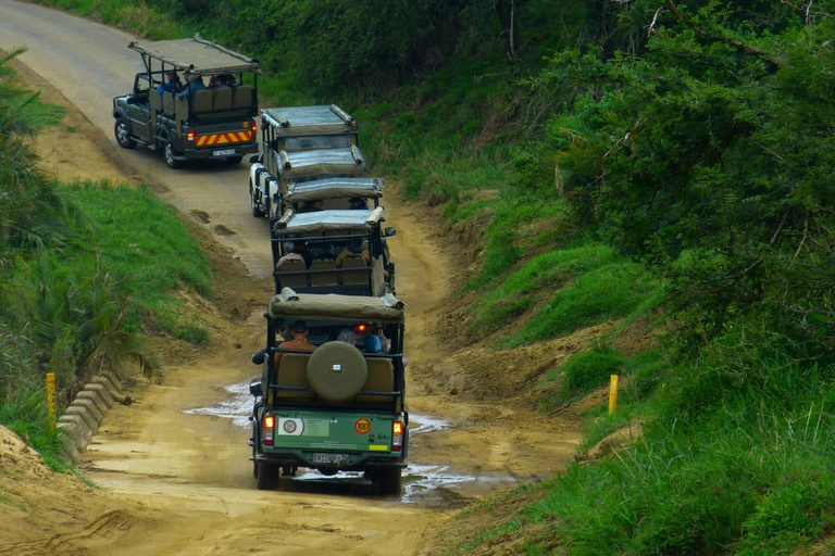 St Lucia, KZN : 3-Day Wildlife and Cultural Safari