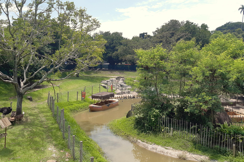 Río de Janeiro: Tour guiado por el BioParque con traslado