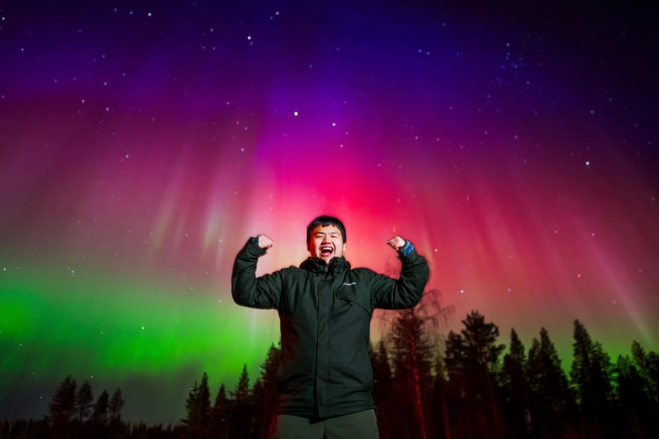 Green northern lights above a dark snow-covered forest near Levi
