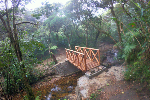 Kandy: Waterfalls and Local Village Day Tour with Lunch