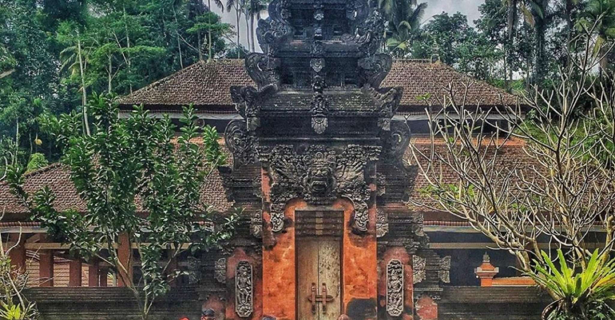 Bali, Forêt de Singe Ubud, Terrasses de Rice, Temple, Cascade - Hizvo