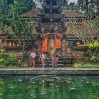 Bali, Ubud Affenwald, Reisterrassen, Tempel, Wasserfall - Hizvo