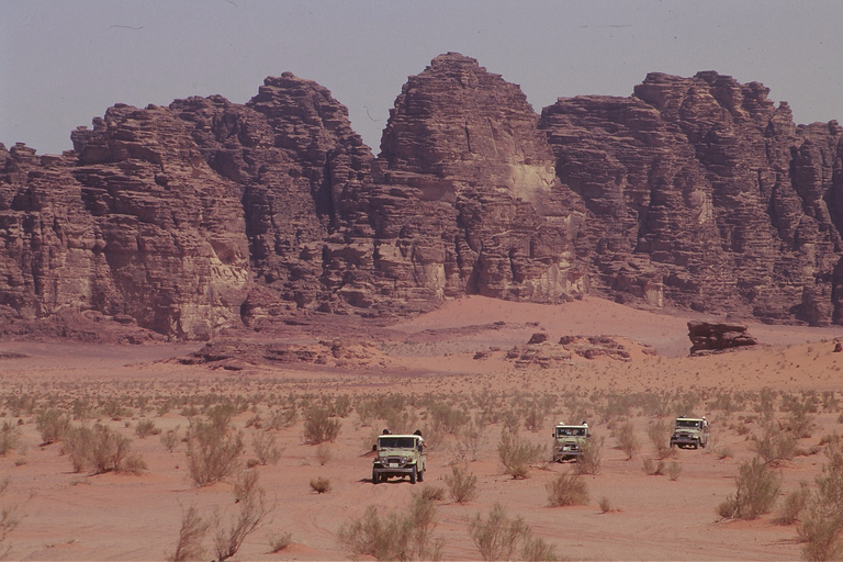 Petra, Wadi Rum & Aqaba 3D/2N Tour