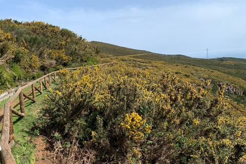 Madeira West Tour - De natuurlijke lavapoelen van Porto Moniz