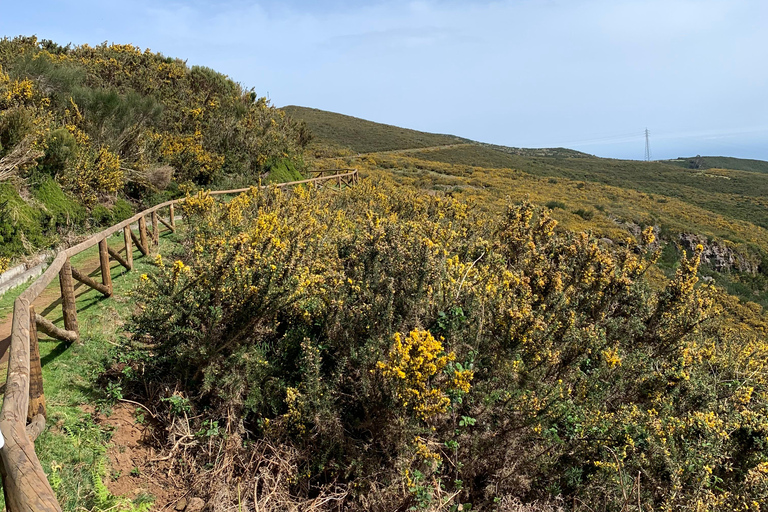 Madeira West Tour - De natuurlijke lavapoelen van Porto Moniz