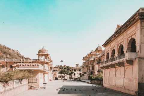Au départ de Delhi : excursion privée guidée de Jaipur avec transfertsVisite privée avec voiture, chauffeur, visite guidée et guide touristique