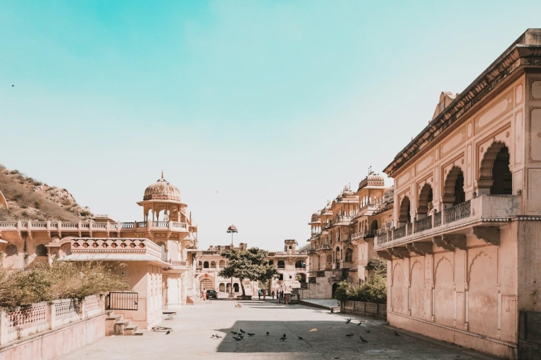 Au départ de Delhi : visite privée d'une journée à Jaipur (formule tout compris)Tout compris