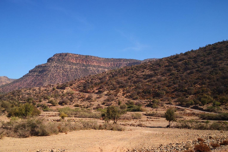 Desde Agadir: Excursión de un día al Atlas y Wintimdouine