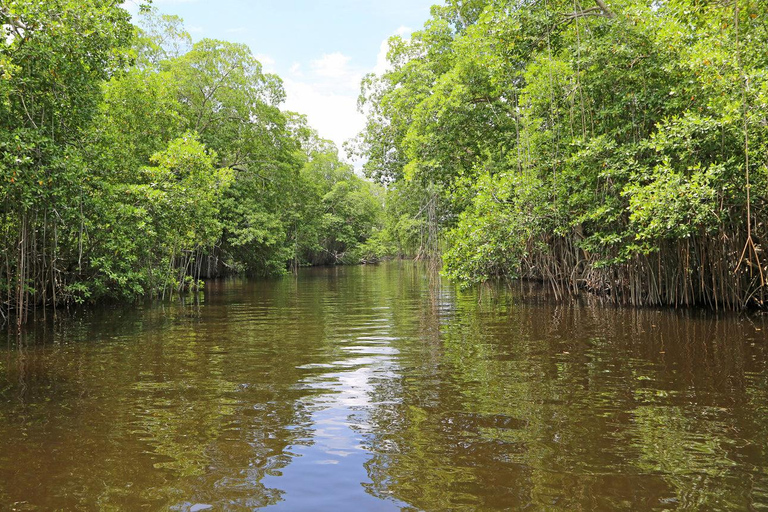 Mombasa: Mkupe Creek Sunset Boat Tour with Fishing