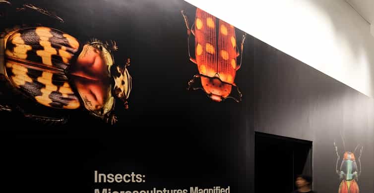 Singapore: ArtScience Museum Entry Ticket photo 2