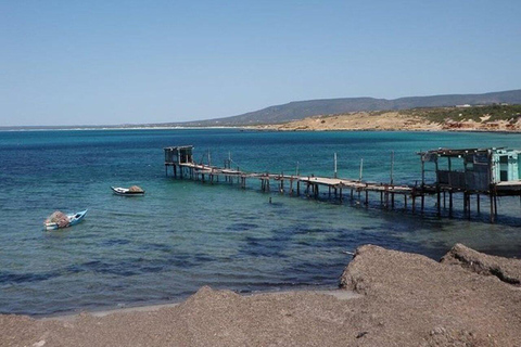 Desde Túnez/Hammamet: Cap Bon Excursión privada de un día