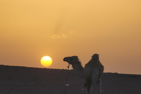Marrakech Desert: Pool, Quad Biking, Sunset Dinner Fire Show