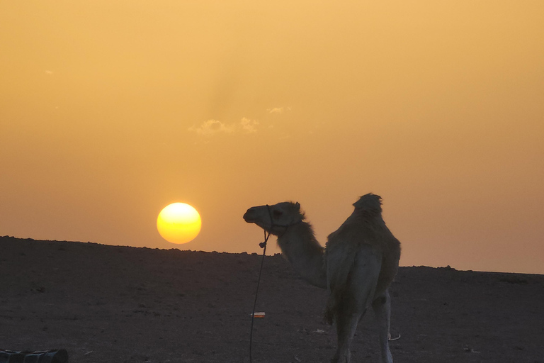 Marrakech Desert: Pool, Quad Biking, Sunset Dinner Fire Show