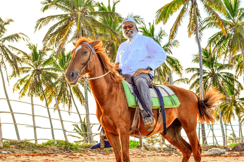 Horseback Riding at Macao Beach and River with Transfers