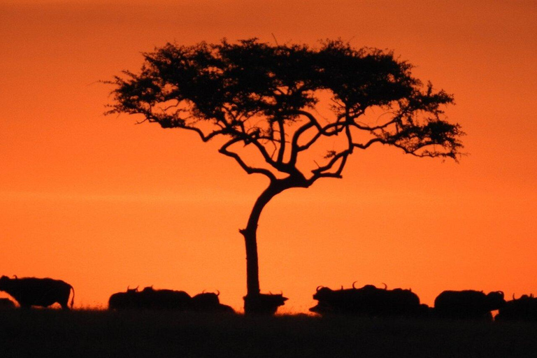 3 jours de Zanzibar à Arusha, transfert routier vers le Serengeti