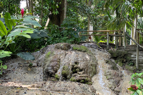 Cartagena: Guided Experience in the Botanical Garden