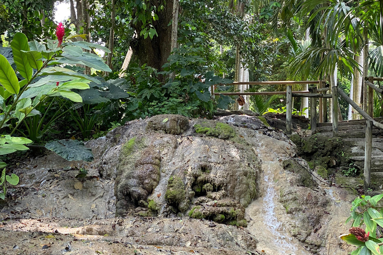 Cartagena: Guided Experience in the Botanical Garden