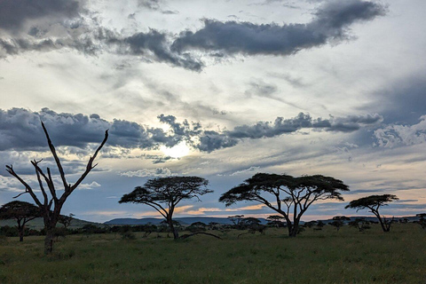 Tanzânia: Safári de 4 dias para Serengeti, Ngorongoro e Tarangire