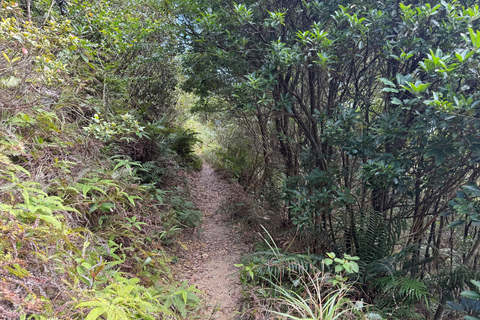 Hong Kong: Tung Shan Skyline Views Guided Hike (2.5 Hours)