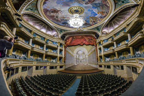 Bordeaux: Guided Visit of the Grand Théâtre FRENCH