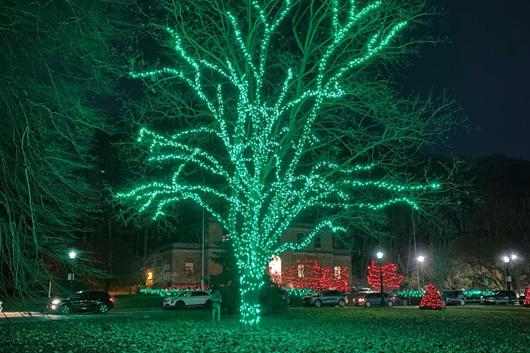 Julbelysningsrunda i Niagarafallen