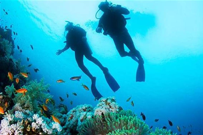 Buceo + MUSAClases de buceo