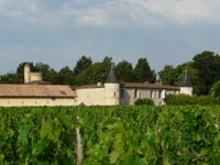 Libourne , visite et dégustation de vin au cœur de Libourne - Housity