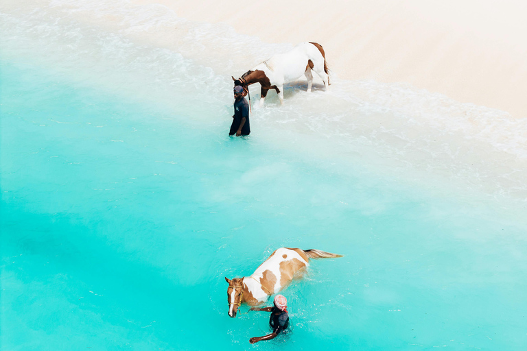 Zanzibar: Swimming with Horses and Ride in Ocean