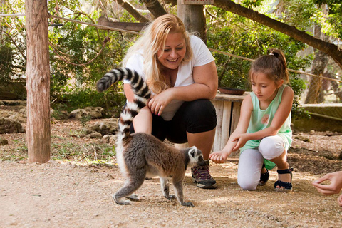 Lloc de Menorca Animal Park: Wildlife & Nature Experience