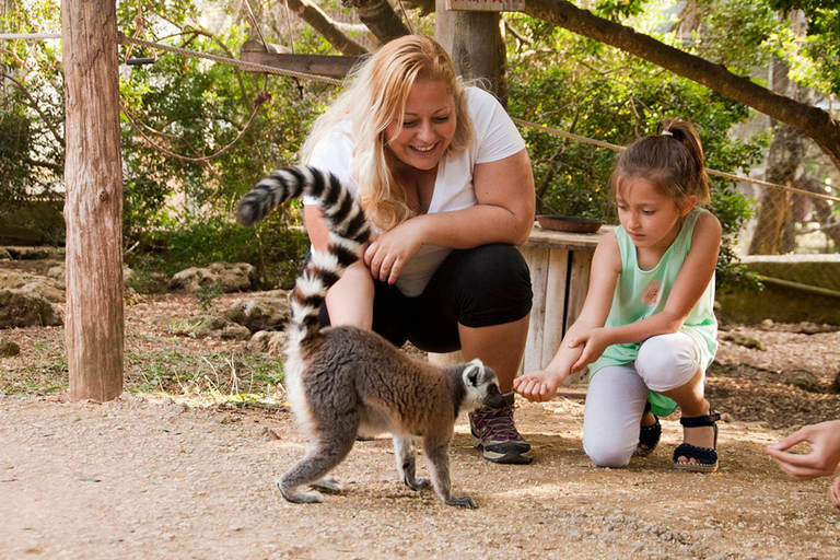 Lloc de Menorca Animal Park: Wildlife & Nature Experience